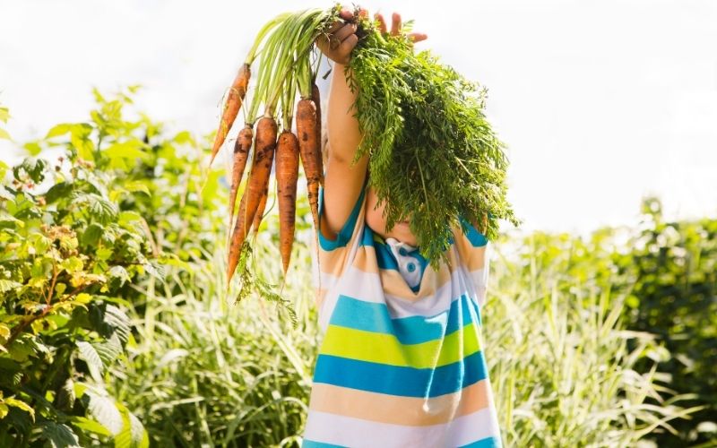 10 Tips on How to Keep Kids Interested in Urban Gardening