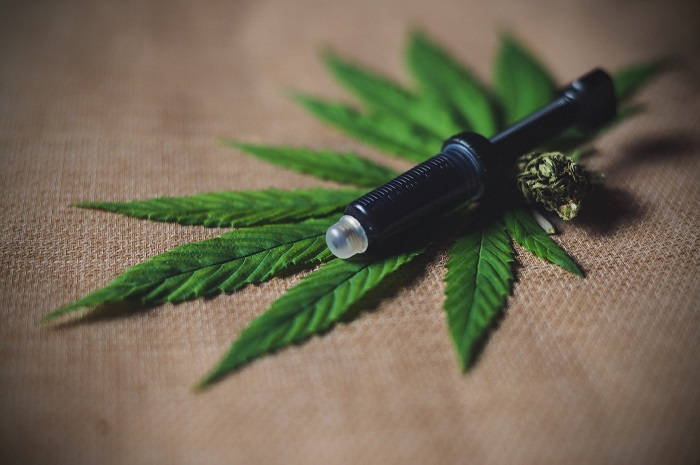 Tips on How to Grow and Make Your Own CBD Oil