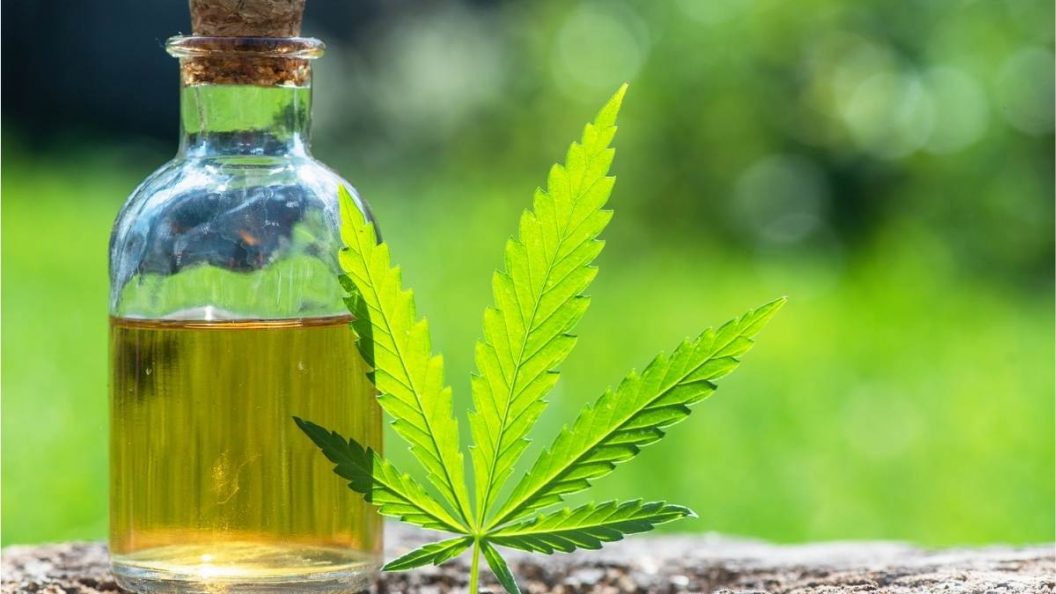 Tips on How to Grow and Make Your Own CBD Oil