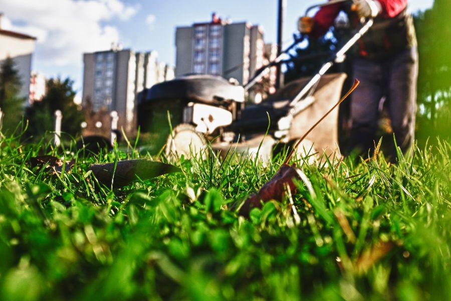 How to Pick Up Leaves With Lawn Mower (Simple Methods)